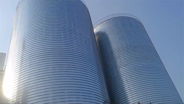 宿州2座混凝土高架卷板仓